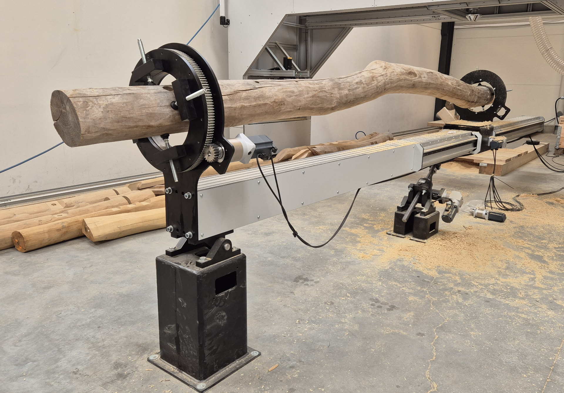 Heavily curved robinia log clamped in a rotation table